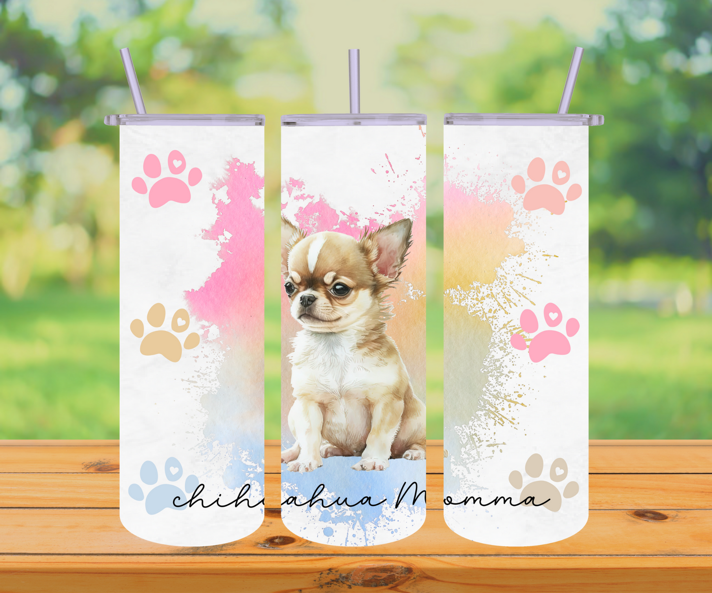 Chihuahua Momma